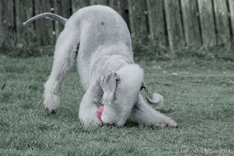 2014-03-14 Svet-8051-2.jpg